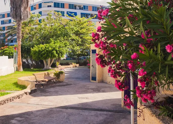 El Cortijo Apartamento *