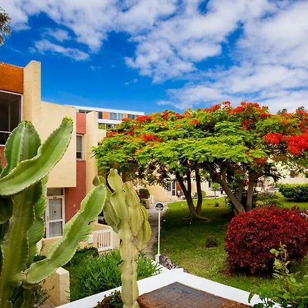 Apartamento El Cortijo